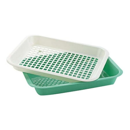 

Panda Superstore PS-HOM5298280011-SUNNY00131 Plastic Drain Vegetables & Fruit Compartment Tray Green