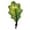 Green, variant on Maple Leaves Balloon Maple Leaf Balloon For Summer Decor Hawaiian Festival Party, 10 Pack Maple Mylar Balloons Fall Autumn Harvest Thanksgiving Day Home Theme Decoration Party Supplies