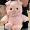 Pink Pig
