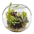 thumbnail image 1 of Mix Succulent Garden with Glass Vase, 1 of 1