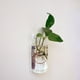 thumbnail image 4 of Jarrones Colgante de Florero Botella de Rectángulo Para Envases Terrario Hidropónica Flor Plantas Sunnimix Florero colgante, 4 of 8