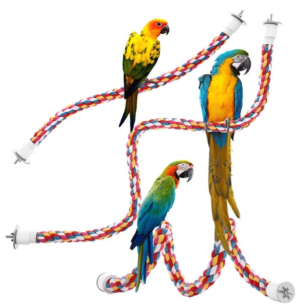 Jacenvly - Nuevos juguetes para niños pequeños en liquidación, nuevos juguetes para pájaros, juguetes colgantes de cuerda multicolor, tipo cuerda elástica, juguetes para pájaros de 8 a 13 años