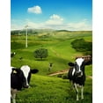 thumbnail image 2 of ABPHOTO Polyester 5x7ft Rustic Farmland Backdrop Cow Nature Spring Backdrops Jungle Forest Green Grass Meadow Blue Sky White Cloud Outdoor Photography Background for Kids Baby Photo Studio Props, 2 of 3