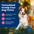 thumbnail image 5 of Blue Buffalo Life Protection Formula Adult Dry Dog Food, Salmon, Chicken Free, 15lbs, 5 of 12