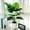 Green_Hot#1991, variant on Artificial Monstera Potted Plant 24.8 in, Fake Green Turtle Leaf Tree with Black Pot for Office, Desk, Living Room Home Decor