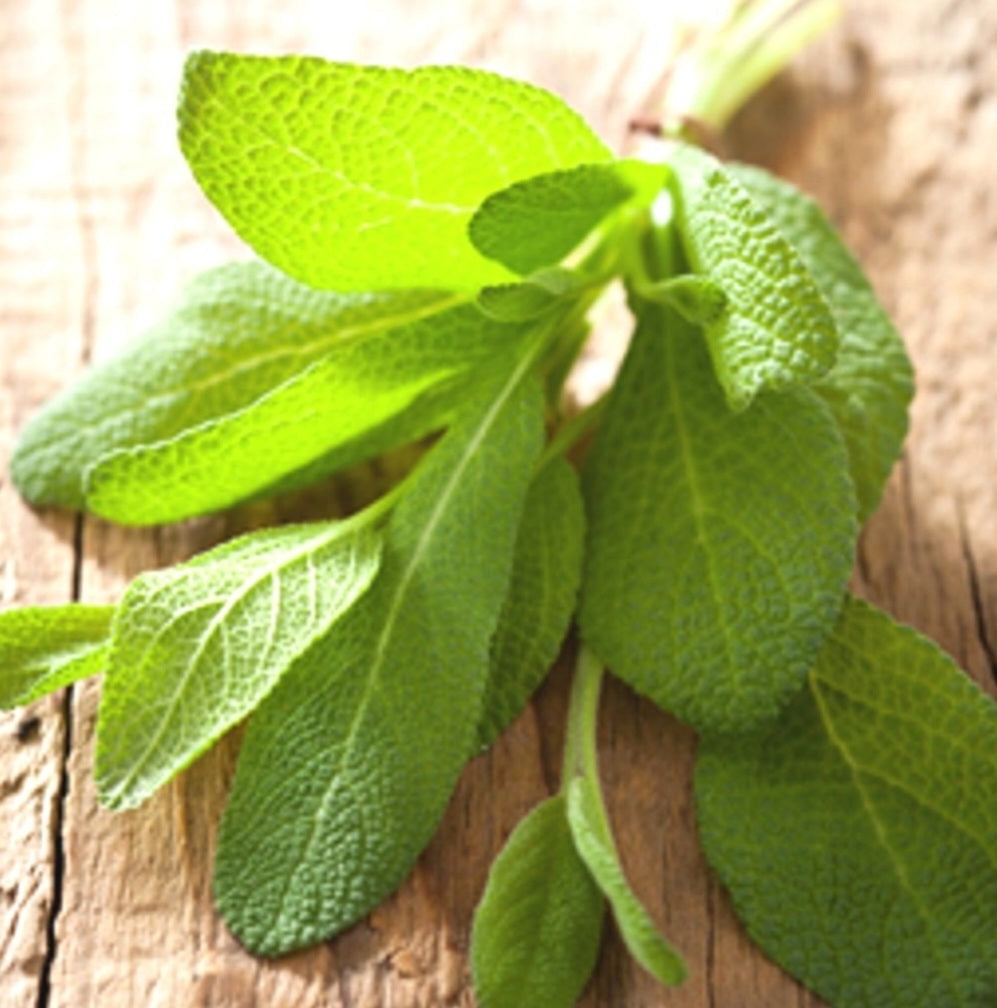 Sage