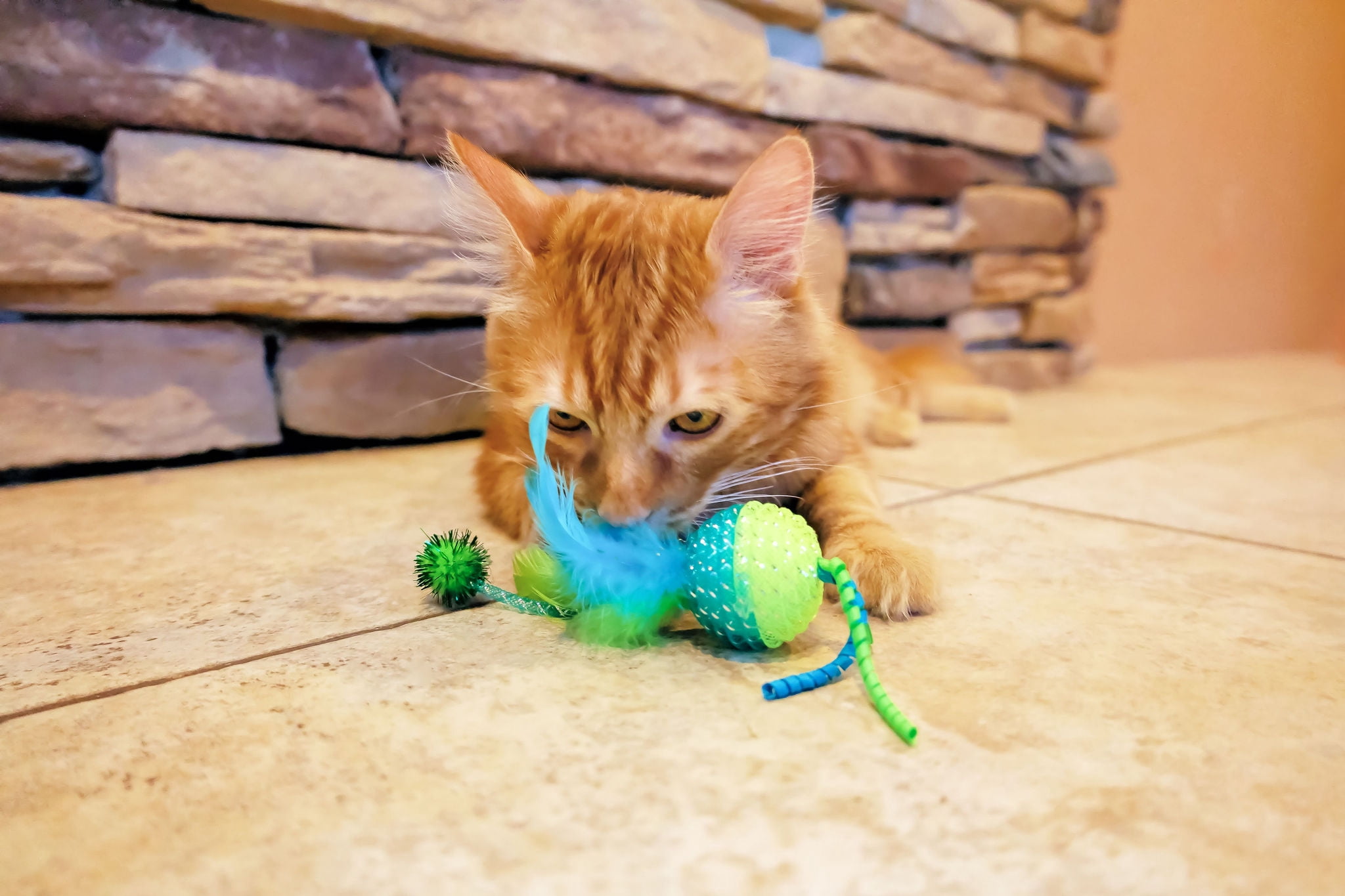 (2 pack) Vibrant Life Mesh Feather Ball Cat Toy, Green/Lime