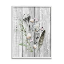 Stupell Various Sea Life Coastal Shells Landscape Painting White Framed Art Print Wall Art