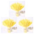 thumbnail image 1 of Injueey 100 Pcs Real Ear Flower Dried Wedding Flowers Decoration Party Type1, 1 of 6