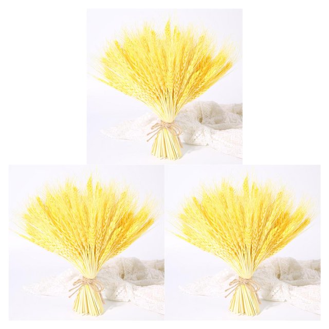 Injueey 100 Pcs Real Ear Flower Dried Wedding Flowers Decoration Party Type1