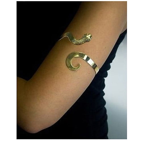 Sunnywood Snake Band