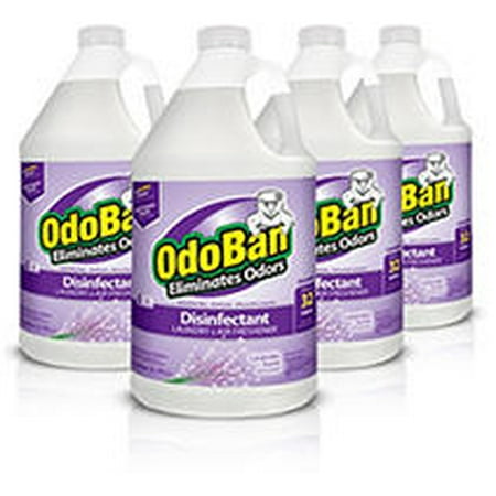 OdoBan Odor Eliminator and Disinfectant Concentrate - Lavender - 4PK