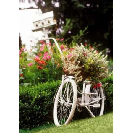 Vintage Bicycle I Rolled Canvas Art - Philip Clayton-Thompson (10 x 14)