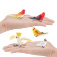 thumbnail image 2 of Set de figuras Realistic Parrot de PVC, 5 piezas, pintadas a mano, 2 of 2
