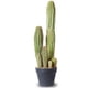 thumbnail image 1 of Cactus artificial, planta de interior, falso cactus grande, 60 cm, 1 of 8