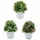 thumbnail image 3 of Planta verde artificial en maceta, hierba de madera fragante, bonsái, decoración del hogar, decoración de boda, pequeña planta artificial en maceta (verde) ER, 3 of 5