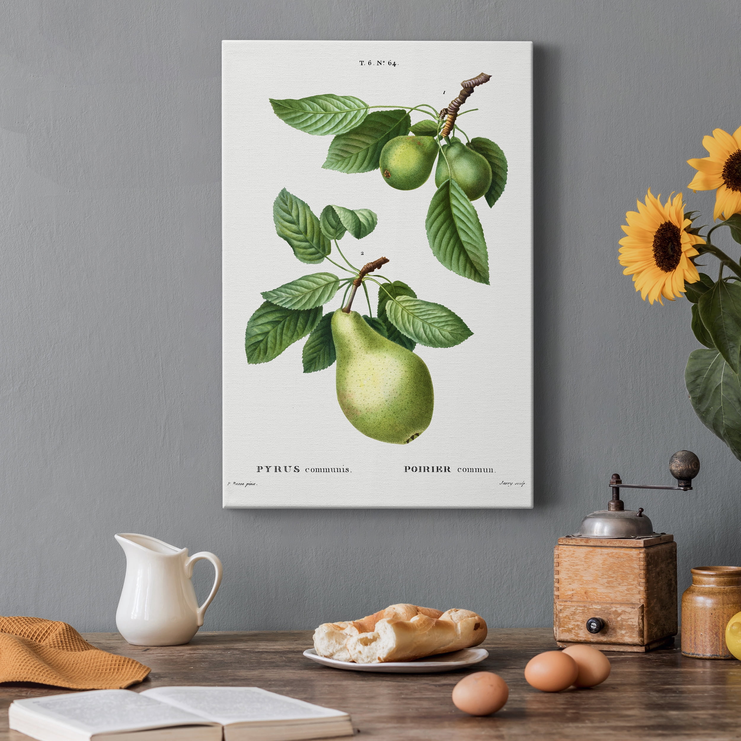 Pear, Pyrus communis from Traité des Arbres et Arbustes que l'on cultive en France en pleine terre Premium Gallery Wrapped Canvas - Ready to Hang - 12 x 18