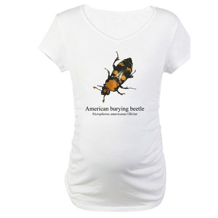 

CafePress - Nicrophorus Americanus Maternity T Shirt - Cotton Maternity T-shirt Cute & Funny Pregnancy Tee