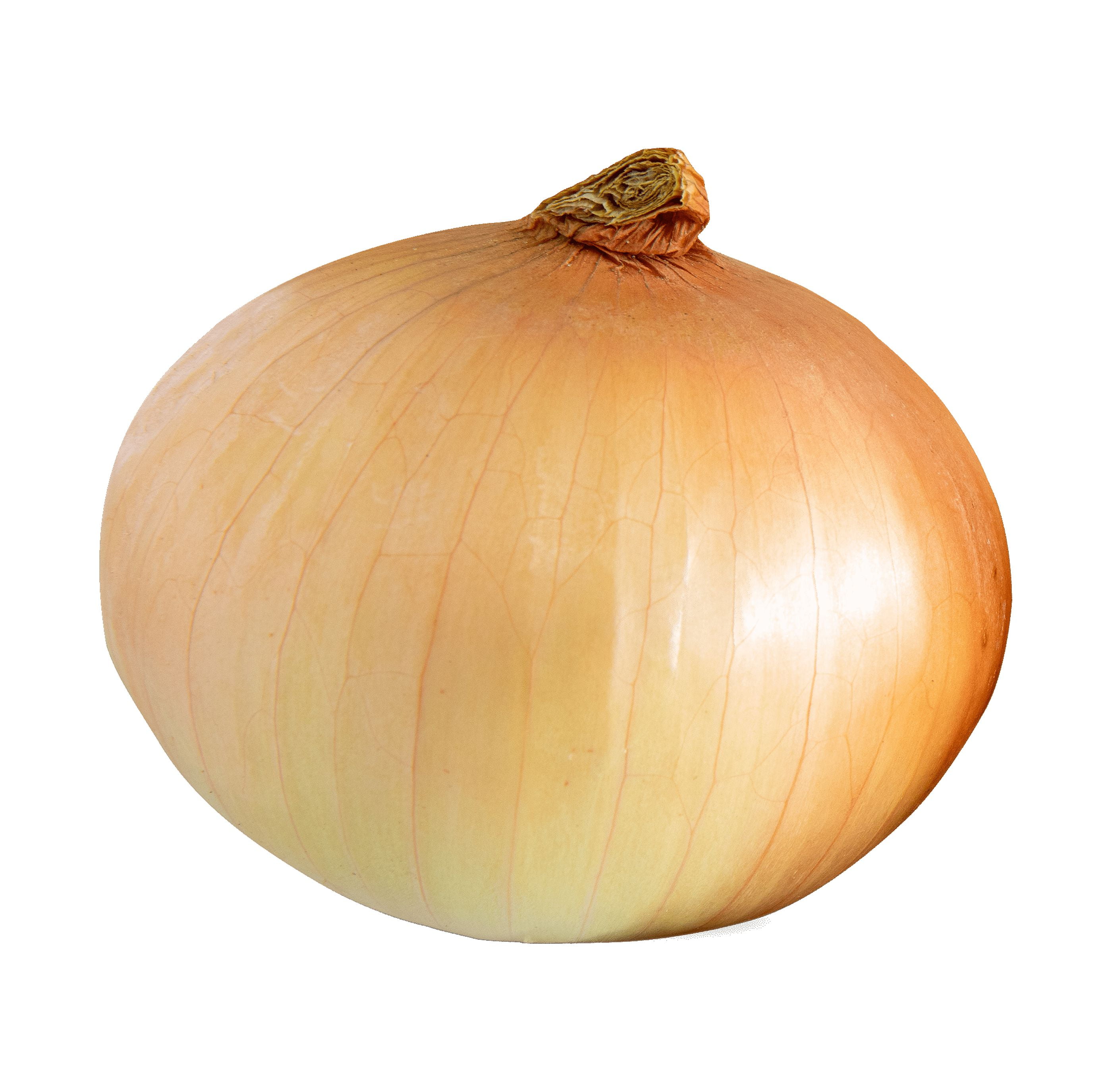 None Fresh Whole Sweet Onion, Each