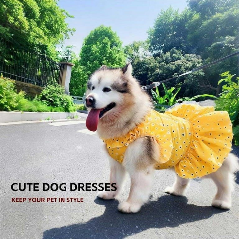 large dog birthday dress Big Dog Princess Costume