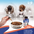 thumbnail image 6 of Probiotics & Prebiotics with Enzymes for Dogs and Cats - Digestive & Gut Flora Support Pet Food Supplement - Supports Digestive Comfort, 6 of 6
