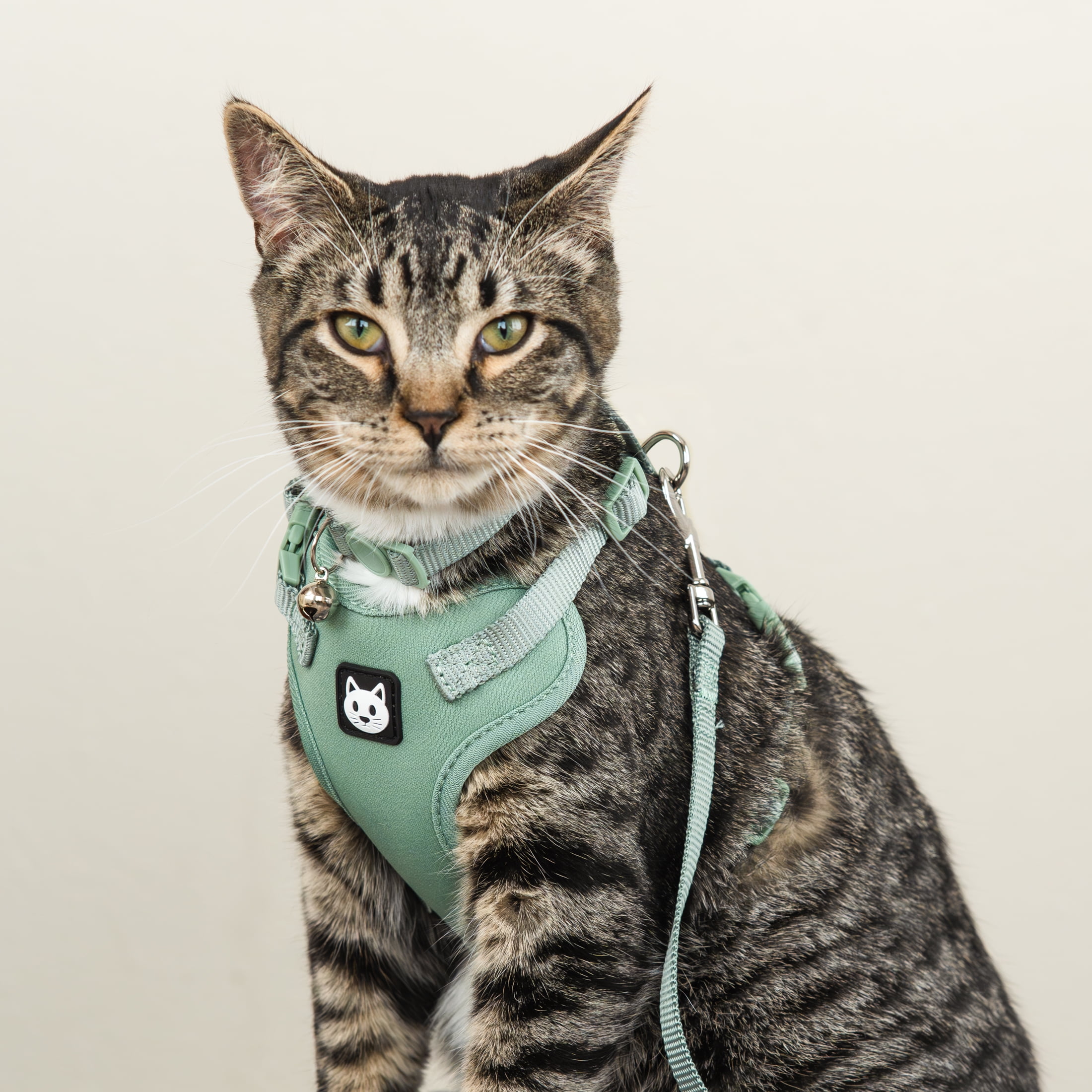 Vibrant Life Mesh Cat Harness & Leash Set, Sage, One Size Fits Most