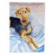thumbnail image 1 of "Caroline's Treasures 7335GF Bandera acogedora de Airedale Terrier, pequeña, multicolor" Caroline's Treasures 7335GF, 1 of 1