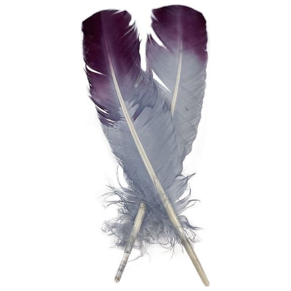 Zucker Ombré Turkey Quill Feathers 10-12” 2 pc - Purple-Silver