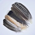 thumbnail image 2 of 10pcs/lot Real Natural Eagle Feathers For Decoration Crafts Turkey Pheasant Bird Owl Feather Decor Plumes Accessories Carnival, 2 of 5