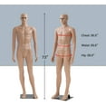 thumbnail image 3 of FDW 38"x30"x73" Polypropylene Adjustable Mannequin with Rotating Head & Arms, 3 of 7