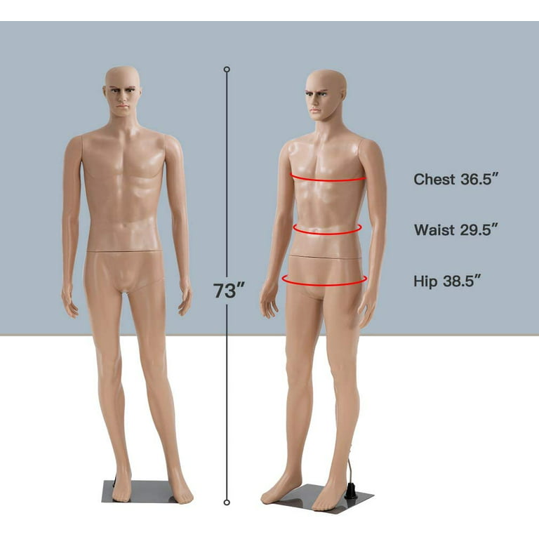 Full Body Mannequin Famale Male Dress Form Display, Manikin Torso