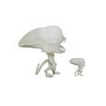 thumbnail image 3 of Funko Pop! Movies Alien Neomorph w/ Toddler Vinyl Figure Toy #431, 3 of 5