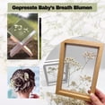 thumbnail image 3 of 100pcs  Dried Babys Breath Flowers Bulk - 17.2" Ivory White Dried Flowers Bouquet, Natural Gypsophila Branches for Vase Filler, Wedding, Home, Table Centerpiece Decor, Dry Flowers Bulk for DIY, Party, 3 of 5