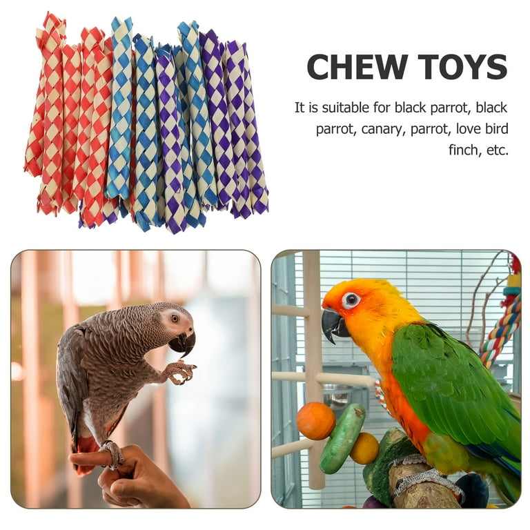 Parrot pinata toy deals