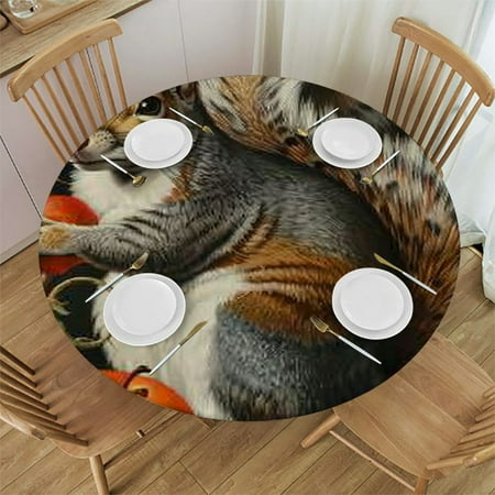 

SHERONV Squirrel Flowers Fruits Round Tablecloth Stain-Resistant Washable 31 -35