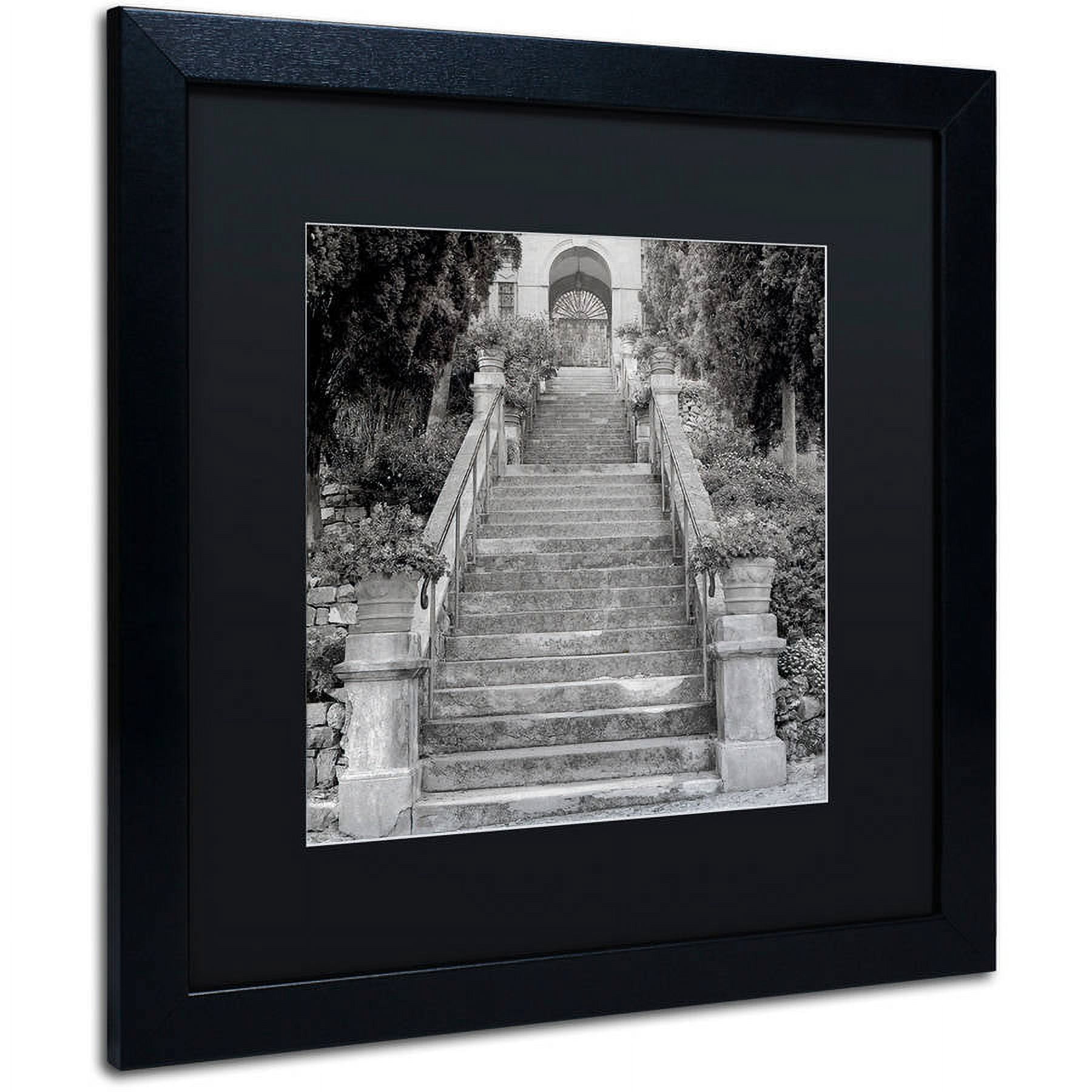 Trademark Fine Art "Liguria II" Canvas Art by Alan Blaustein, Black Matte, Black Frame