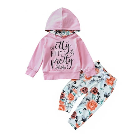 

Sunisery Toddler Baby Girls Long Sleeve Hoodies Sweatshirt Tops and Flower Long Pants Outfit 2PCS Set Pink 18-24 Months