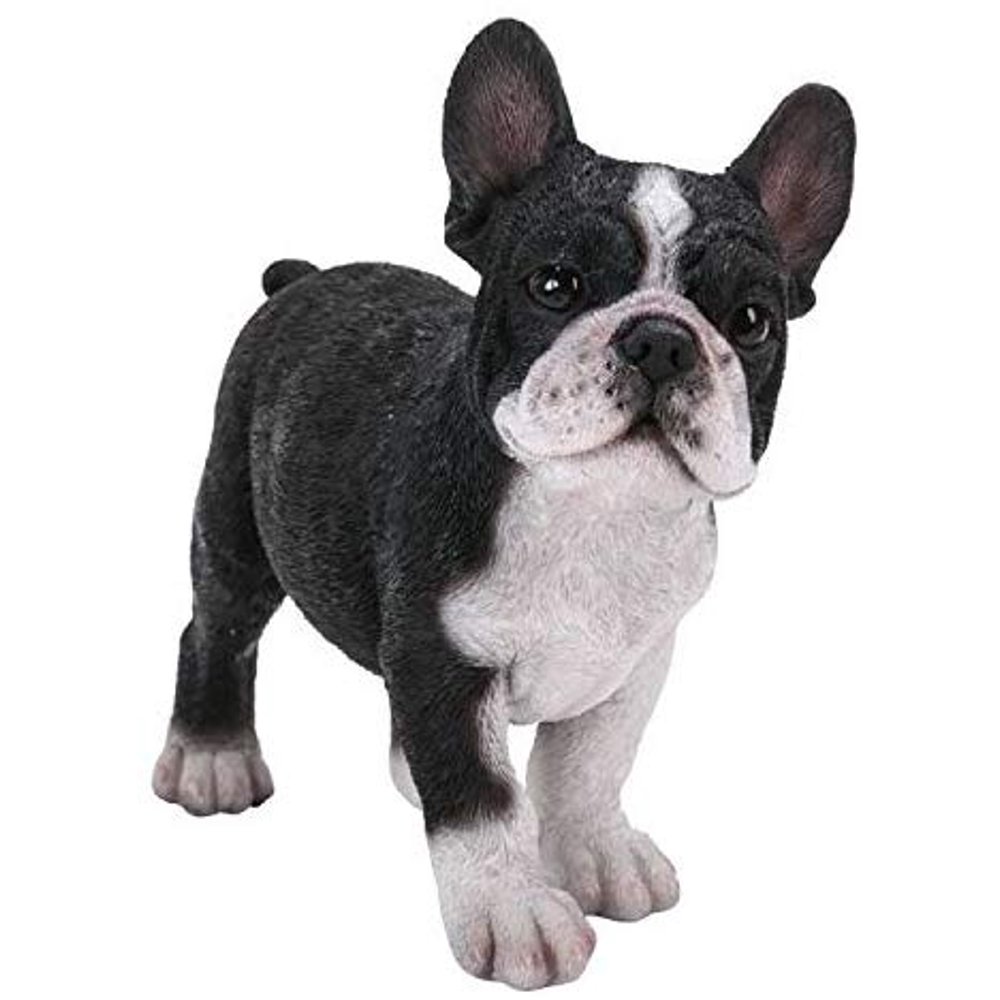 Ebros Gift Realist Look French Bulldog Puppy Standing Resin Figurine