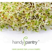 Pro Micro Jute Microgreens Grow Mats by Handy Pantry - 10x10 Inches for 1010 Growing Trays - Pack of 100 Pads - Hydroponic Grow Media for Micro Greens & Wheatgrass