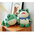 thumbnail image 5 of Frog Doll Funny Pillow Children's Gifts Gift Gift, 5 of 5