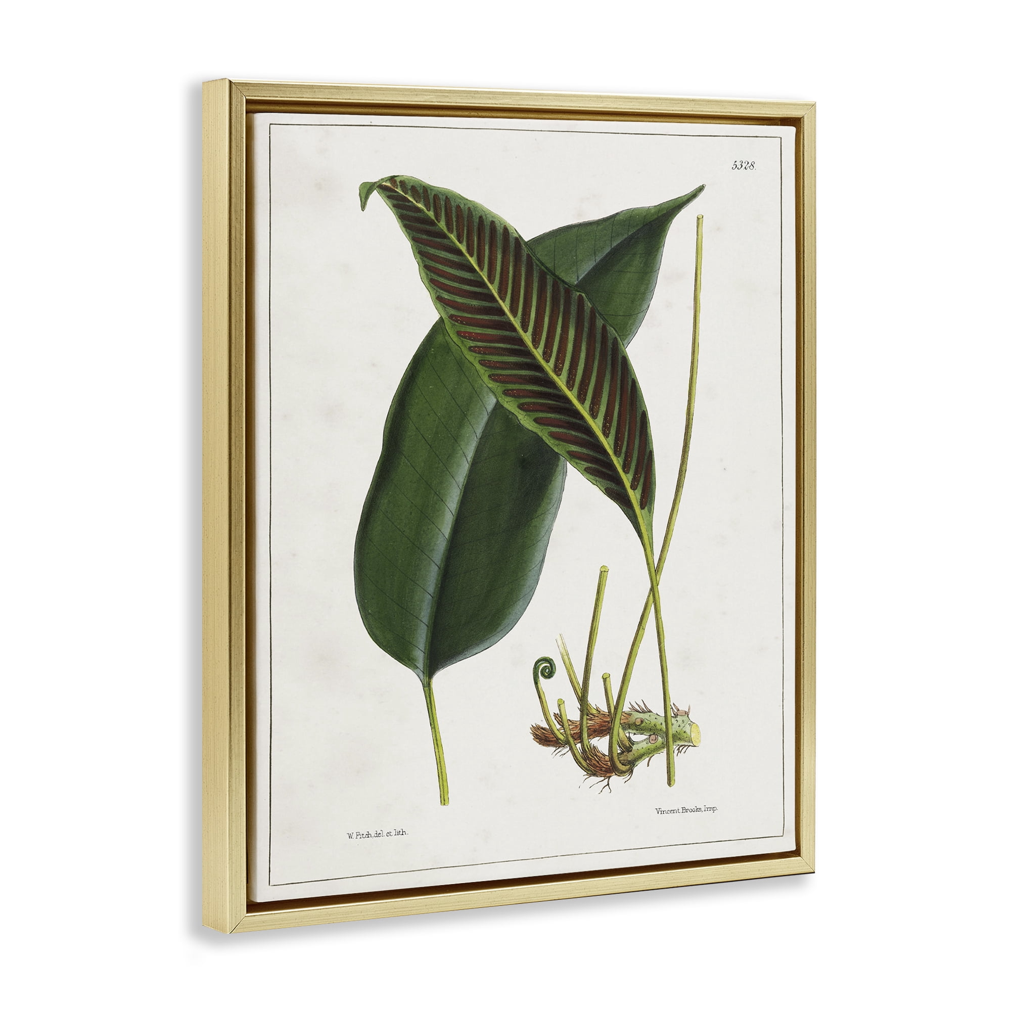 Stupell Industries Leaf and its Underside Study Plants & Flowers Painting Gold Floater Framed Canvas Art Print Wall Art, 25 x 31