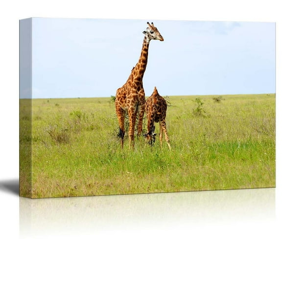 Canvas Prints Wall Art - 2 Graceful Giraffes in African Savannah | Modern Wall Decor/Home Art Stretched Gallery Wraps Giclee Print & Wood Framed. Ready to Hang - 24" x 36"