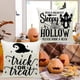 thumbnail image 3 of Fundas de almohada de Halloween 18x18 Juego de 4 para decoraciones de sofás Afortunado Sencillez, 3 of 5
