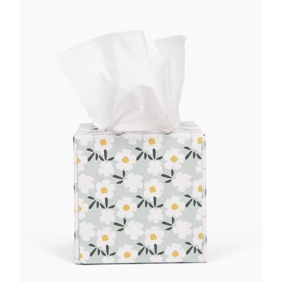 Candid 3-Ply Bamboo Facial Tissue - 66ct