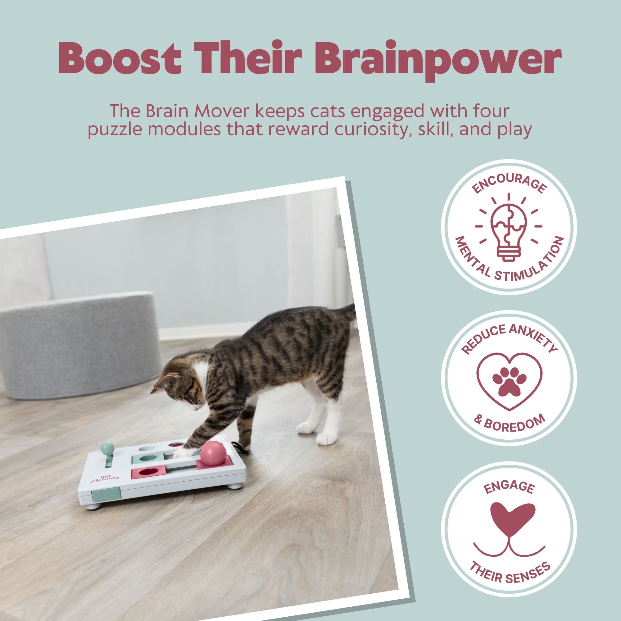 TRIXIE Brain Mover Strategy Game Interactive Puzzle Toy photo 3