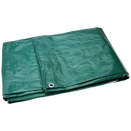 PRO SOURCE Medium-Duty Green Polyethylene Tarp: Waterproof 10 ft x 8 ft x 9 mil