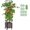 15.7"L x 11.8"W x 62"H, variant on Tomato Planter with Trellis, 43" Self-Watering, Portable Planter Box for Climbing , Outdoor Raised Garden Bed for Tomato, , Vegetables, Chili