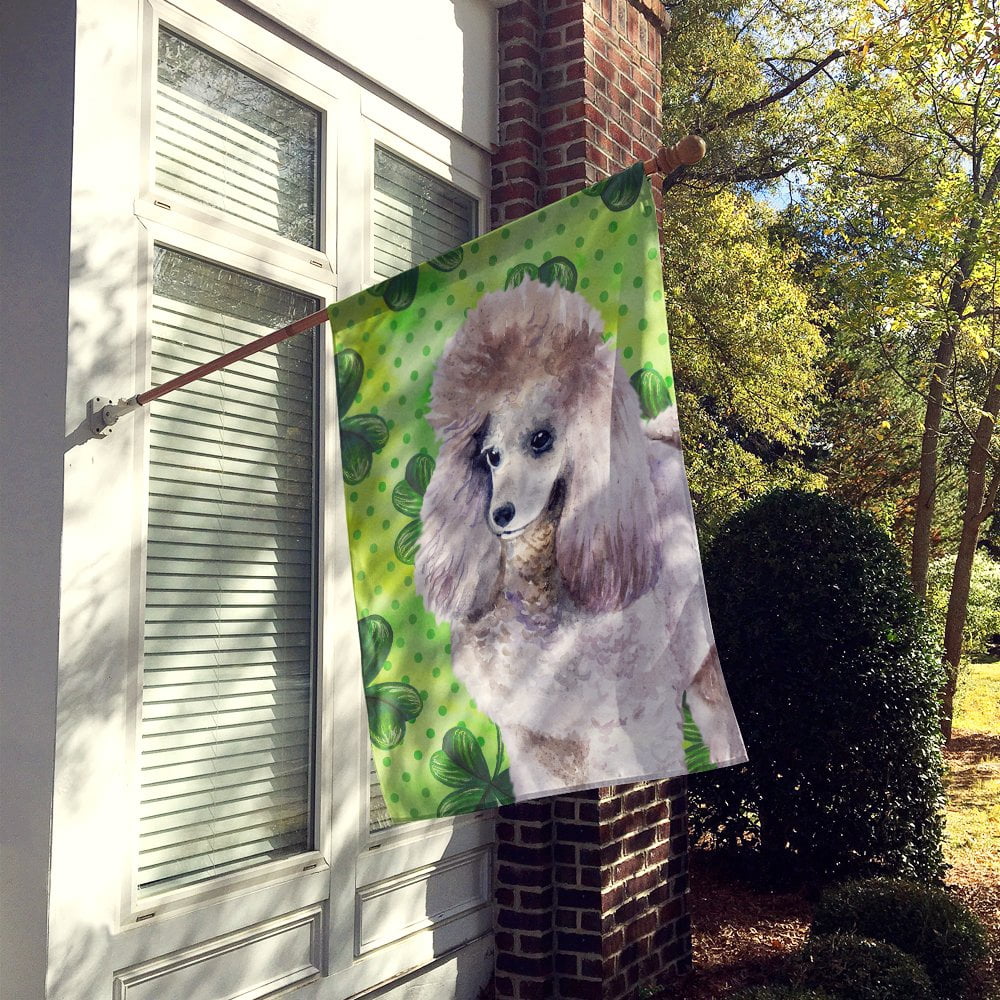 Carolines Treasures BB9839CHF Poodle St Patricks Flag Canvas House Size  Large multicolor