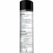 SpectracidePRO Wasp & Hornet Killer (Aerosol), 18 oz.