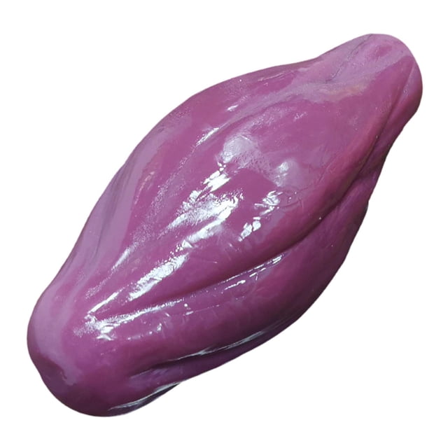 Modelo de Músculo Humano, Modelo Anatómico, Modelos de Tejido Muscular Intuitivos Y Livianos para La Formación de Estudiantes de Medicina.